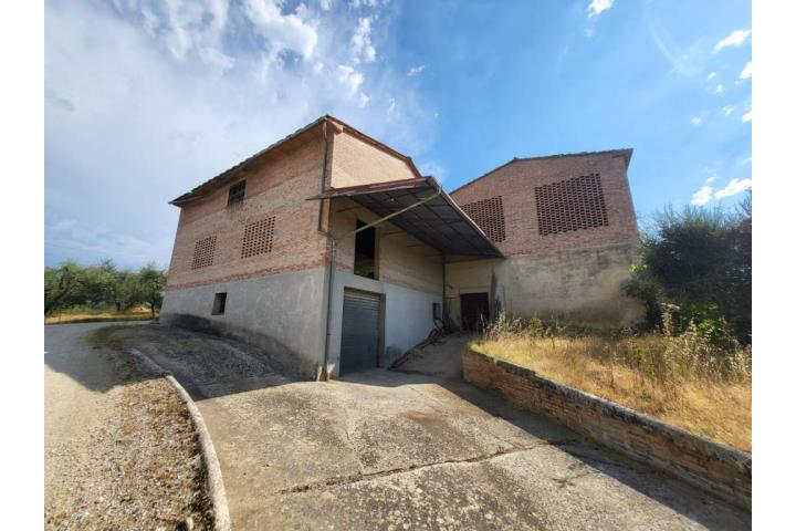 Azienda agricola in Vendita Castelnuovo Berardenga