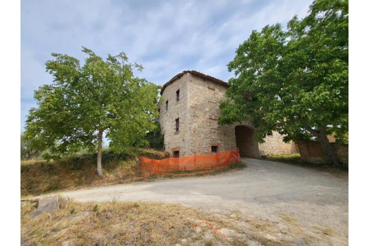 Azienda agricola in Vendita Castelnuovo Berardenga